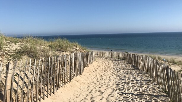 Un camino de arena bordeado por vallas de madera que lleva al océano.
