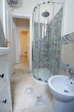 Regadera, secadora de cabello, bidet, toallas 