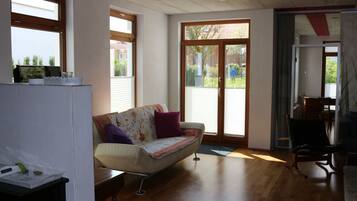 TV, fireplace, DVD player, toys