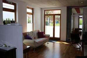 TV, fireplace, DVD player, toys