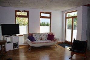 Télévision, cheminée, lecteur de DVD, jouets