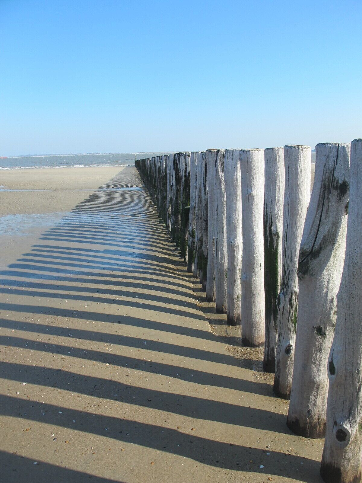 Plage à proximité, chaises longues