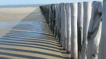 Playa en los alrededores y camastros