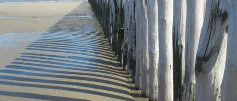 Playa en los alrededores y camastros