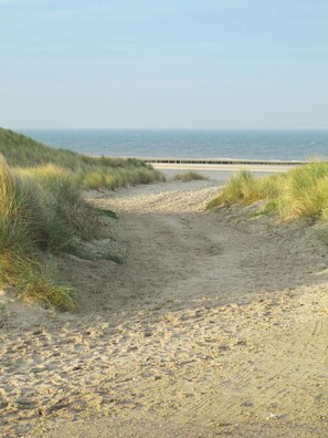 Playa en los alrededores y camastros