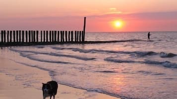 Beach nearby, sun loungers