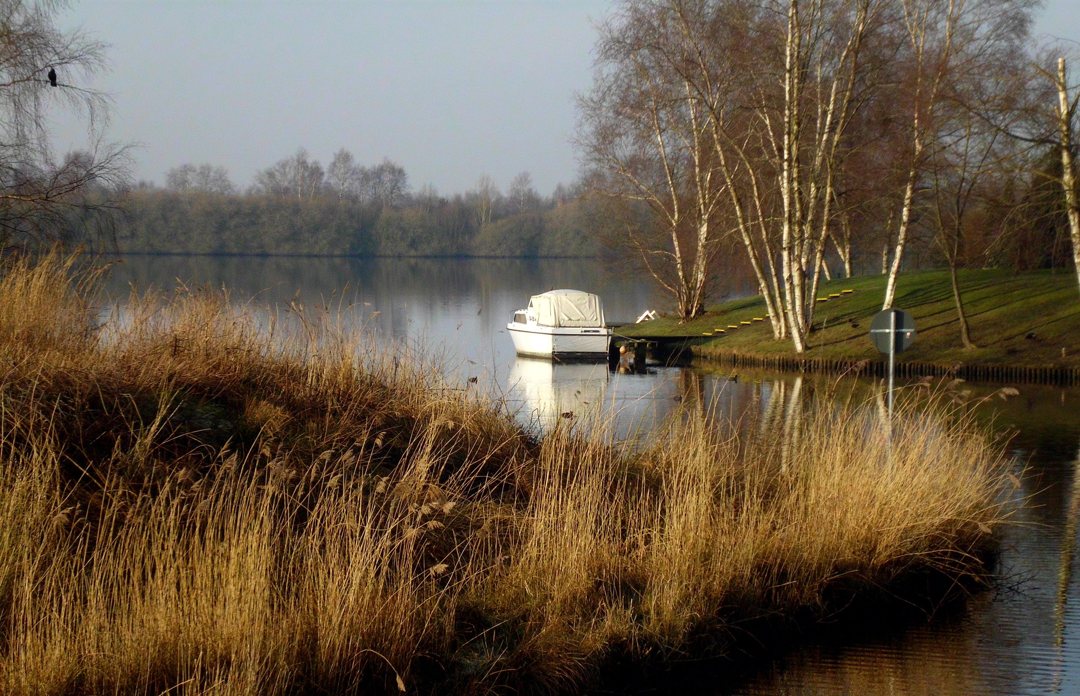 A calm lake with a boat docked on the shore, surrounded by tall grasses and trees.