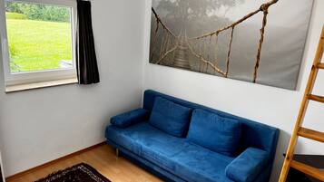 Fernseher, Bücher, Musikbibliothek, Stereoanlage