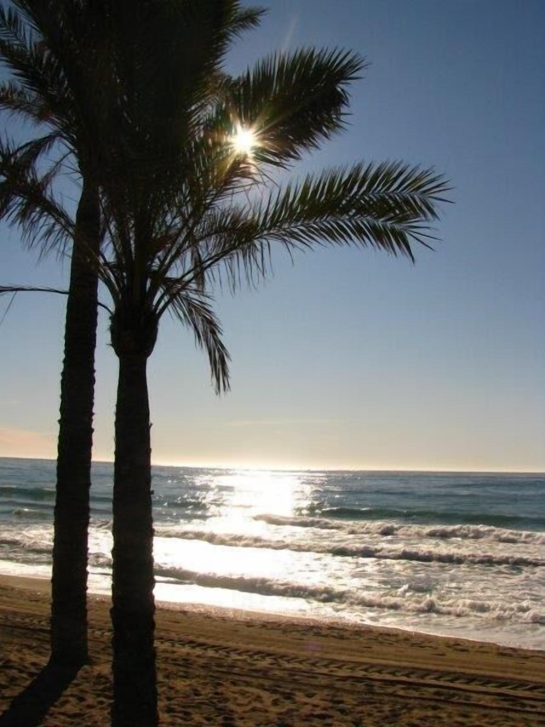 Beach nearby, sun-loungers, beach towels