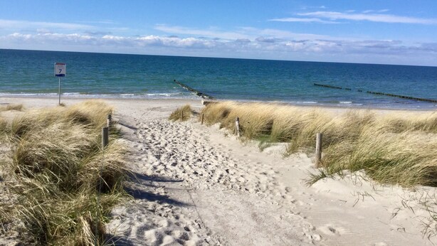A sandy beach path leading to the ocean, with a sign indicating a beach number.