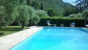 Pool - Apartment with pool, garden. Dogs are welcome.  (Camaiore)