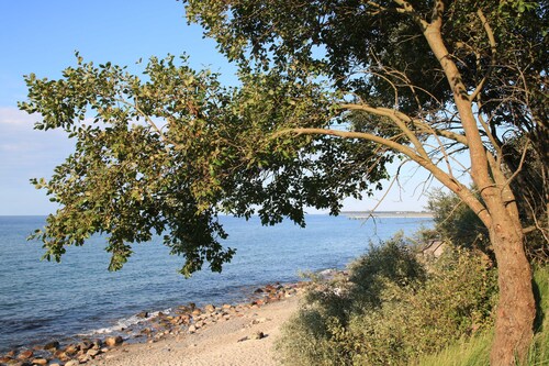 Nur 250 m bis zum Strand - 3-Zi.-Fewo mit 2 Balkonen