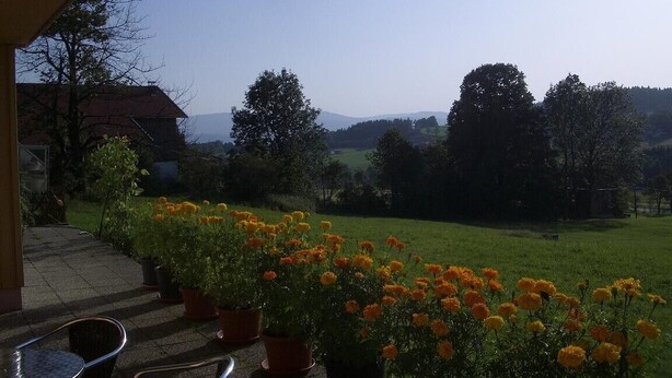 Une terrasse agrémentée de pots de soucis, avec vue sur un champ verdoyant et des arbres.