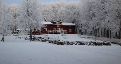 Wonderful calmness in the nature, much of space, child-friendly