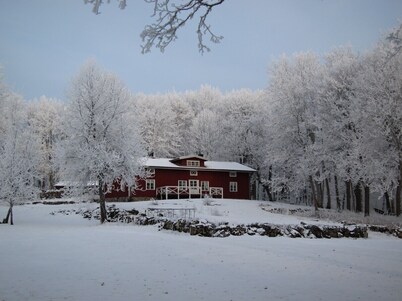 Wonderful calmness in the nature, much of space, child-friendly
