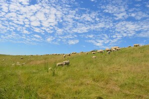 Photo non classée, 3 sur 15, bouton