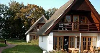 Olkikattoinen mökki meren ympäröimänä