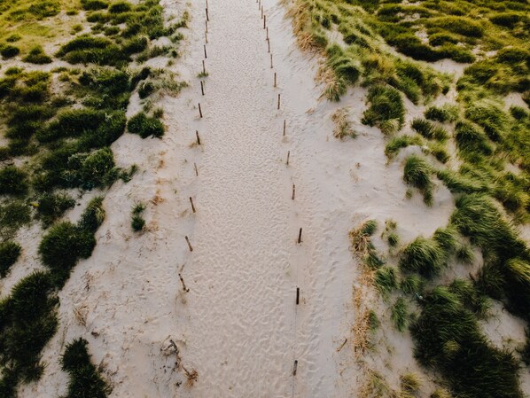 An aerial view of a sandy area with green vegetation and wooden stakes.