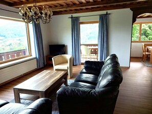 Fernseher, Stereoanlage