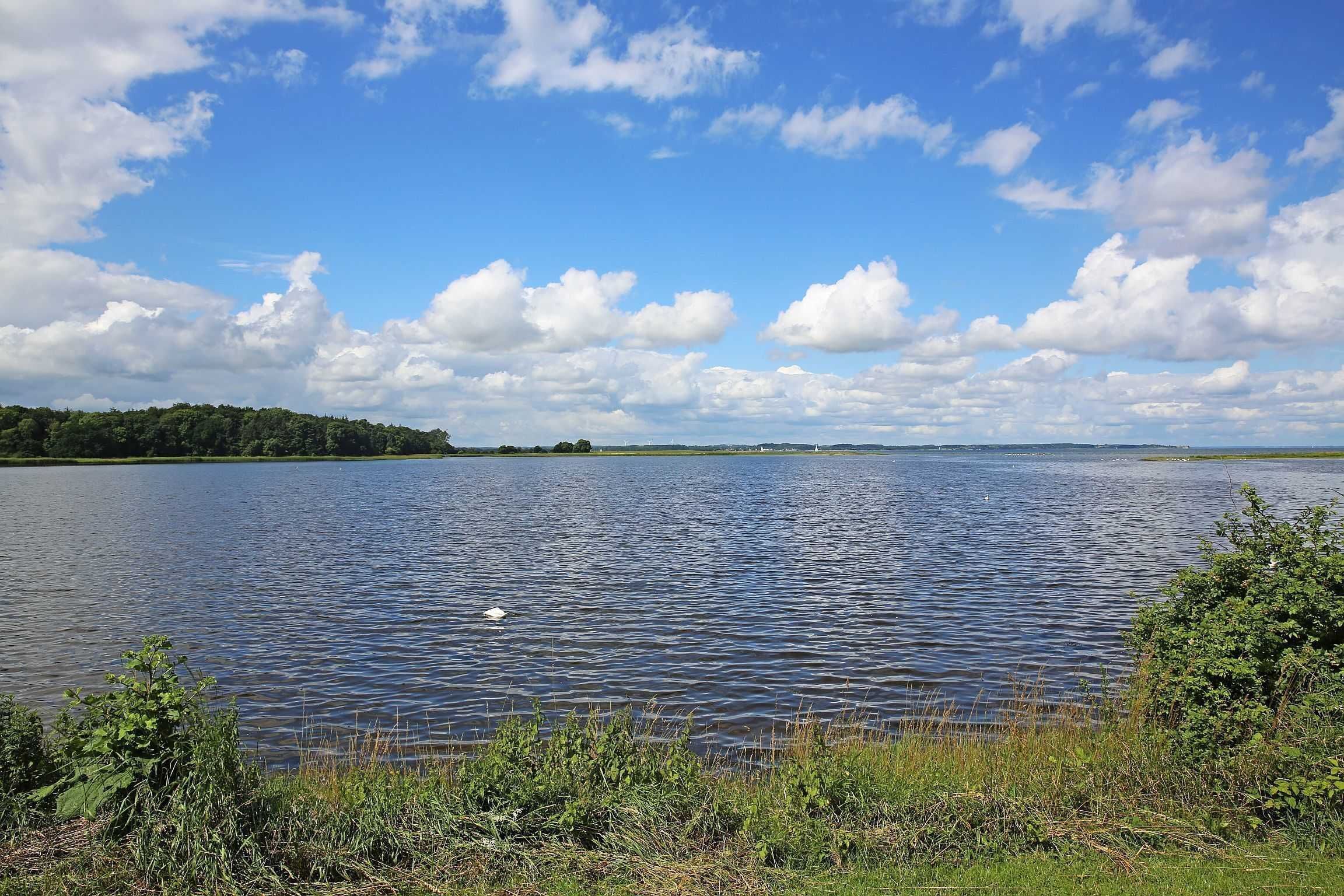 Een kalm meer met een heldere lucht en verafgelegen bomen.