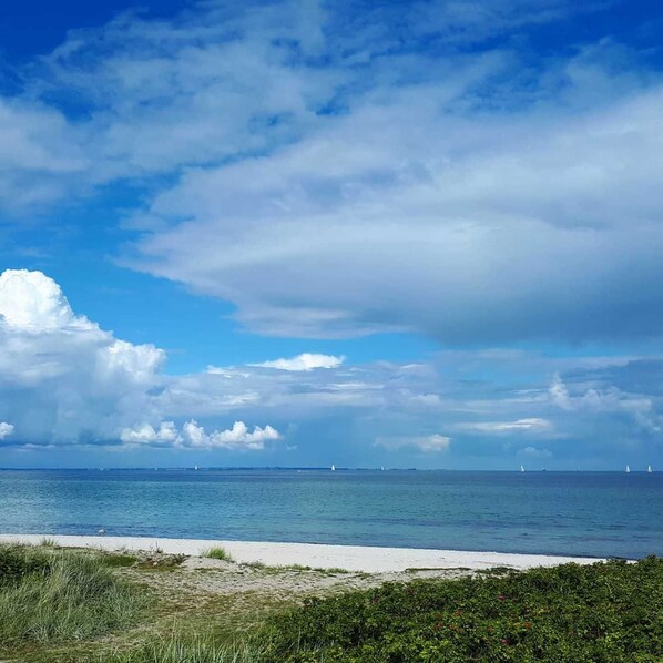 Unclassified image, 1 of 33, button