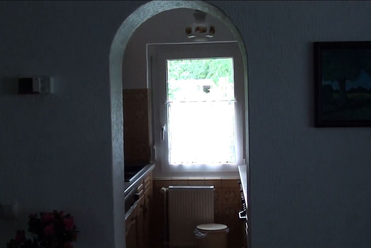 House in an oasis in Berlin with pool, garden, air-conditioning and fireplace