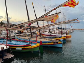 Marina - Very nice house right by the sea with a wonderful panorama!  (Banyuls-Sur-Mer)