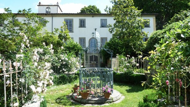 Un jardin agrémenté d’une volière en métal, entourée de plantes en pot et d’arbustes en fleurs.