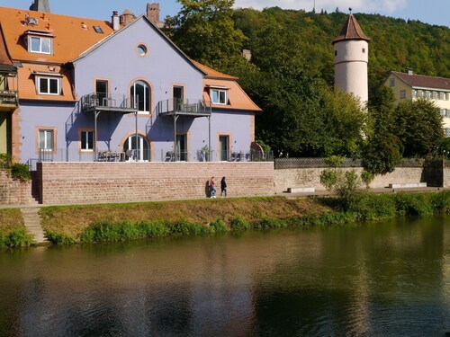 Fantastic apartments with a sun terrace right on the banks of the Tauber