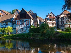 Exterior - Dream home: sauna, fireplace, great view, bbq, fenced garden, playground, kids room (Alpirsbach)