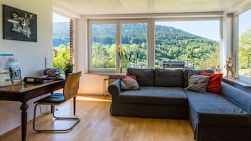 Smart-TV, Kamin, DVD-Player, Bücher