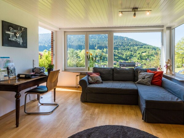 Smart TV, fireplace, DVD player, books - Dream home: sauna, fireplace, great view, bbq, fenced garden, playground, kids room (Alpirsbach)