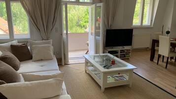 Smart TV, chimenea, libros