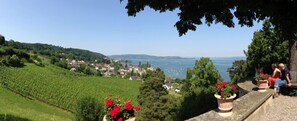 Ein Weinberg mit Blick auf einen See und eine Stadt im Hintergrund.