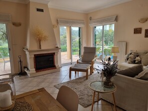 Älytelevisio, takka, DVD-soitin, kirjoja