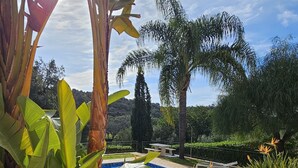 A pool area with a clear blue pool, surrounded by tropical plants and wicker furniture. - Oasis of peace in the Algarve, private pool, heating (Sao Bras de Alportel)