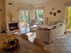 Smart TV, fireplace, DVD player, books