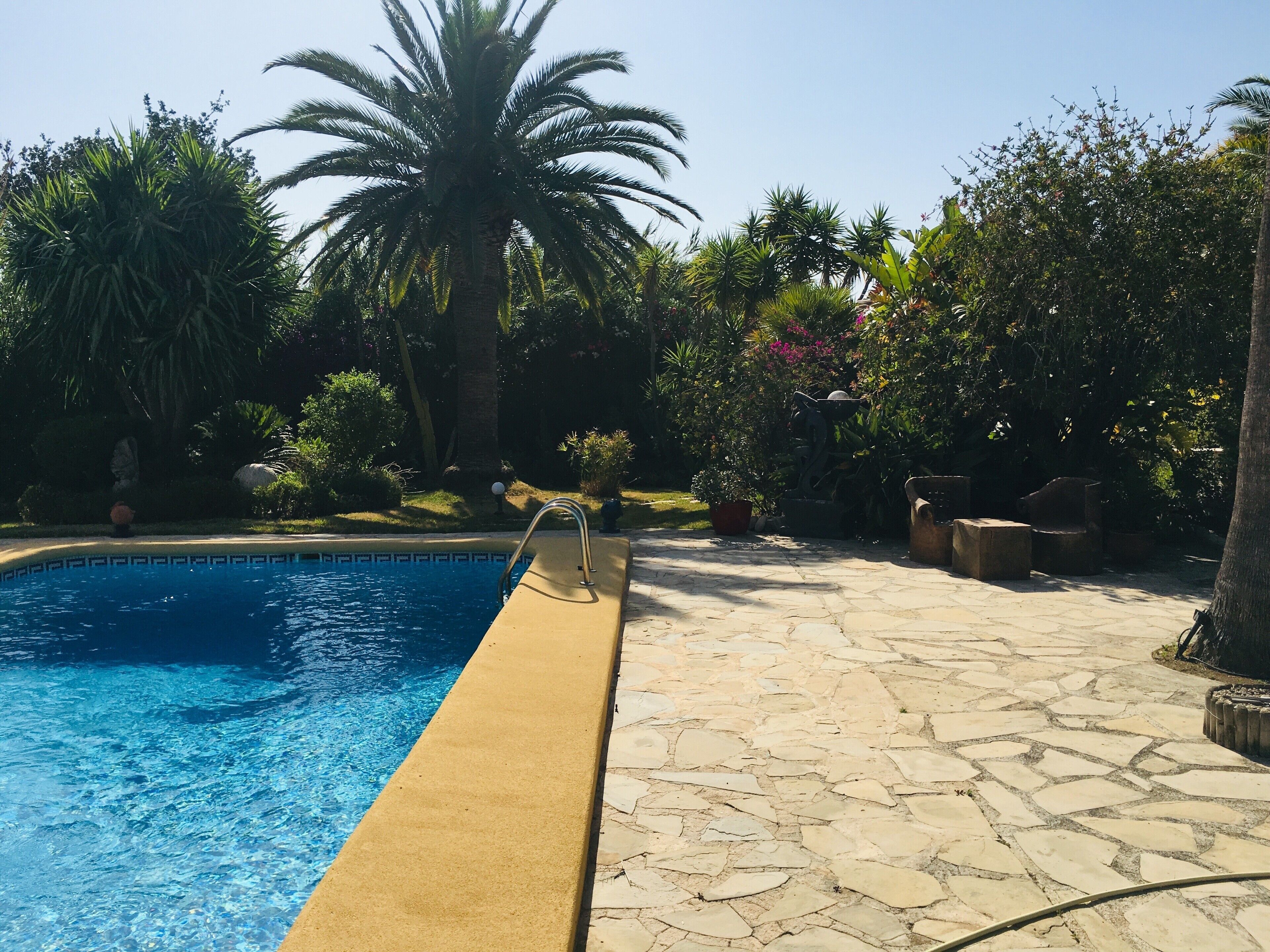 Una piscina con bordo in pietra, circondata da vegetazione lussureggiante e palme.