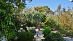 Un giardino con diverse piante e alberi, un sentiero e una montagna sullo sfondo.