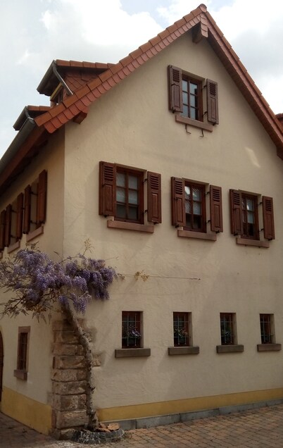 Holidays in the idyllic wine-growing village near Freinsheim