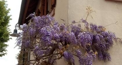 Vacances dans le village viticole idyllique prĂšs de Freinsheim