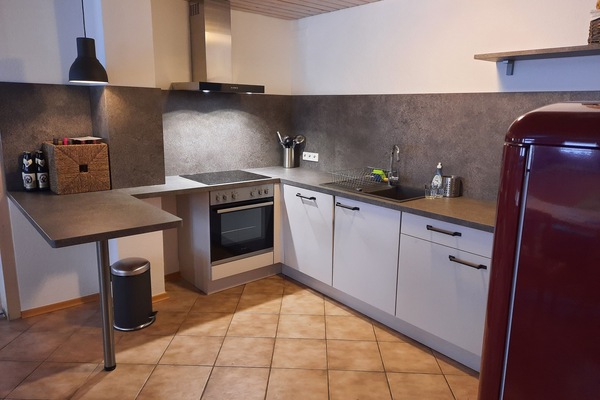 Kühlschrank, Ofen, Herdplatte, Geschirrspüler