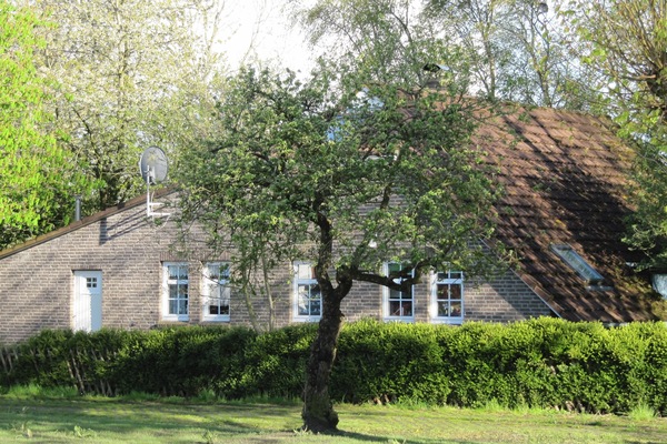 Außenansicht im Frühjahr aus Richtung Norden