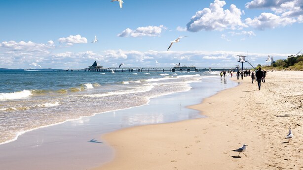 A beach with a pier extending into the water, people walking along the shore, and seagulls flying overhead. - 30sqm vacation apartment close to the beach in the countryside (Stubbenfelde)