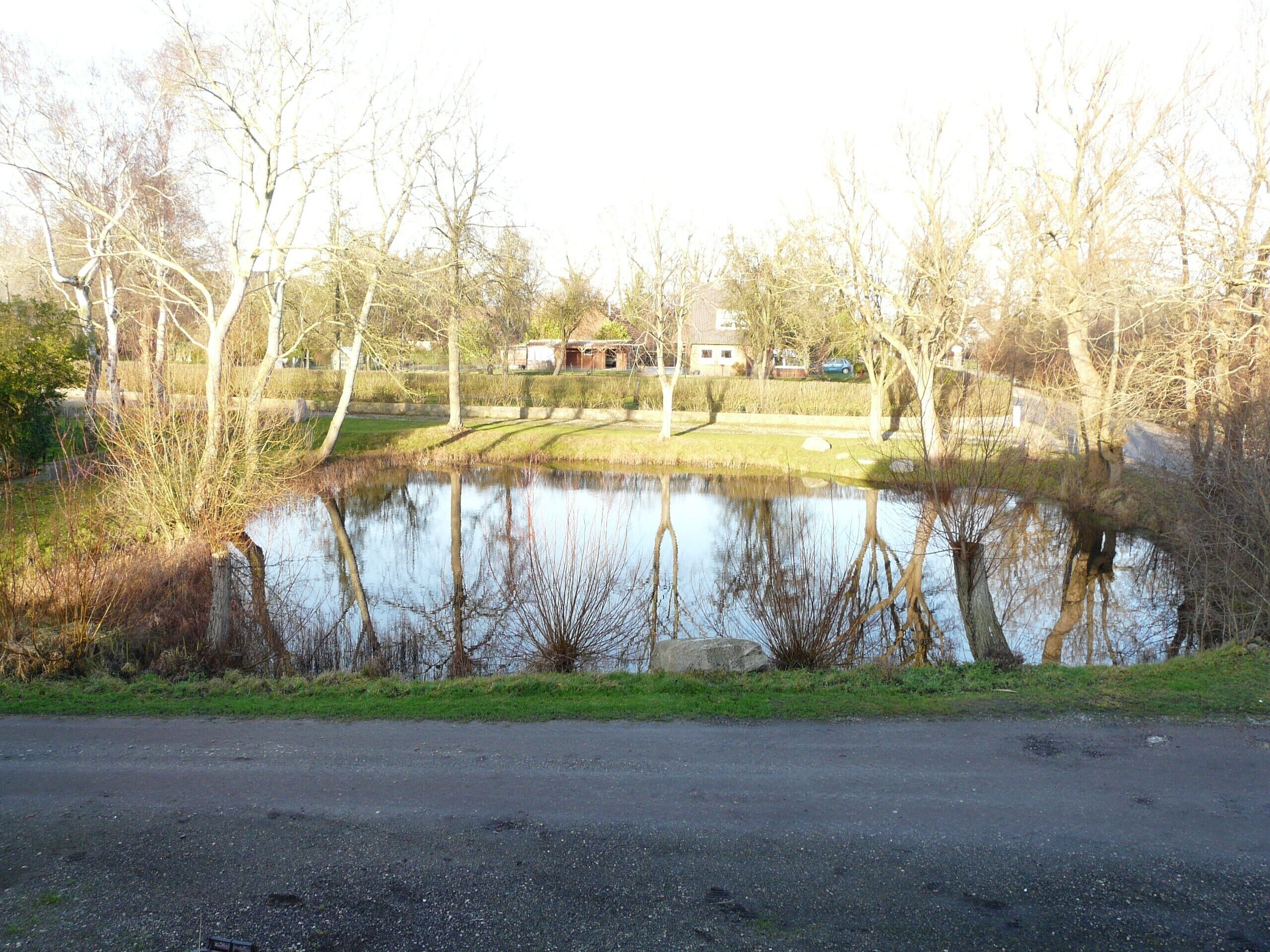 Um lago rodeado por árvores e uma estrada ao primeiro plano.
