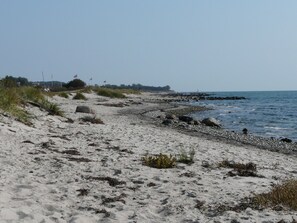 Playa en los alrededores y camastros 