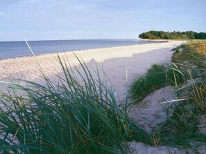 A beach with sand, grass, and a body of water. - La Casa Apartment Seagull - Apartment Seagull (Steinberg)