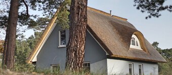 The house under the three trees - your vacation on the sunny island of Usedom