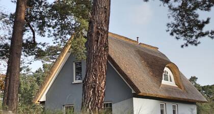 La maison sous les trois arbres - vacances sur l'ßle ensoleillée d'Usedom