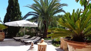 Un espace extérieur ensoleillé, aménagé avec des chaises longues et un parasol blanc, entouré de plantes en pot et d’un vase décoratif.